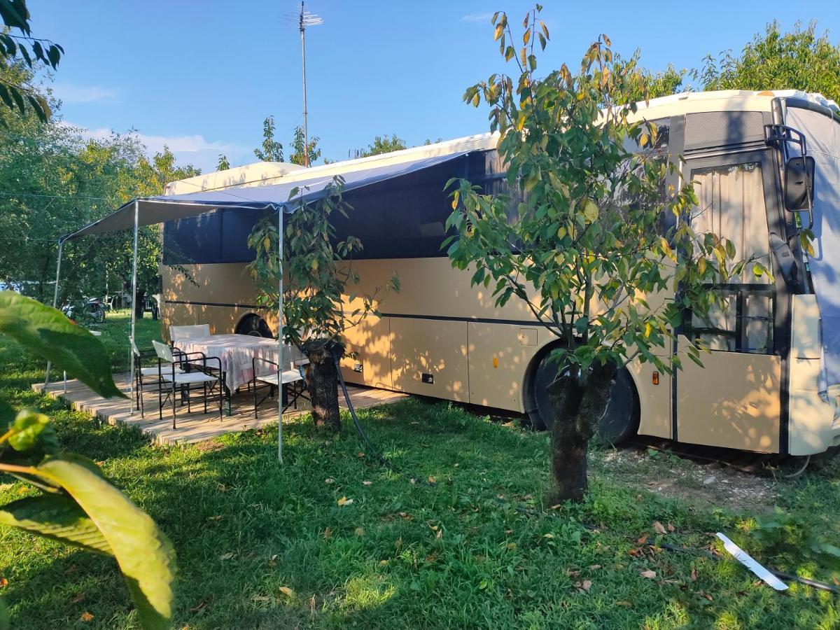 Hotel Terrebiobus Visnadello Esterno foto